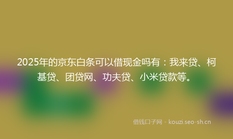 2025年的京东白条可以借现金吗有：我来贷、柯基贷、团贷网、功夫贷、小米贷款等。