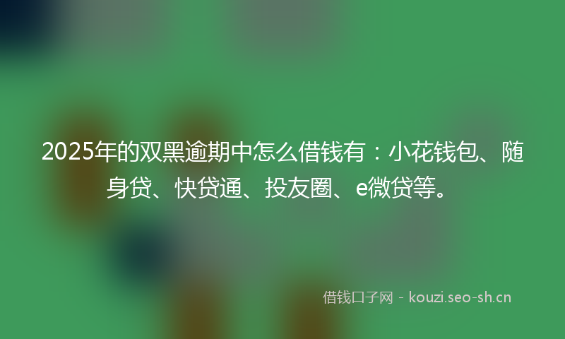 2025年的双黑逾期中怎么借钱有：小花钱包、随身贷、快贷通、投友圈、e微贷等。