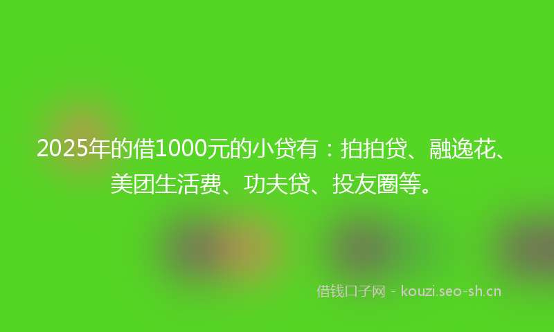 2025年的借1000元的小贷有：拍拍贷、融逸花、美团生活费、功夫贷、投友圈等。