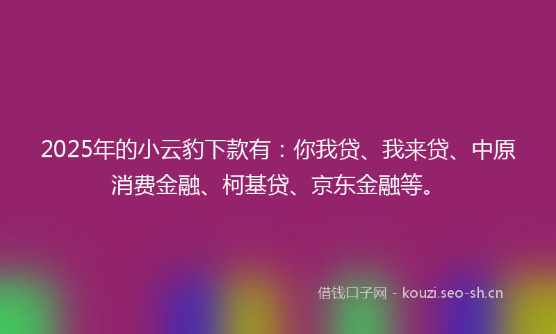 2025年的小云豹下款有：你我贷、我来贷、中原消费金融、柯基贷、京东金融等。