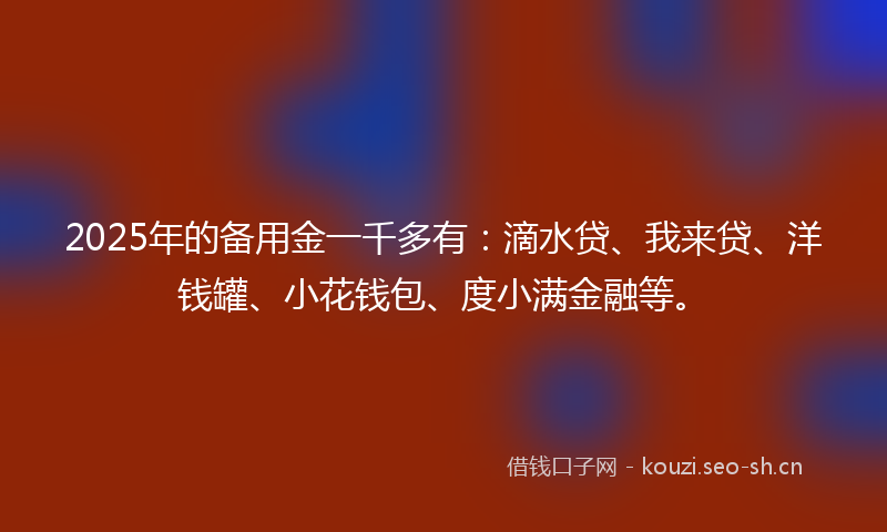 2025年的备用金一千多有：滴水贷、我来贷、洋钱罐、小花钱包、度小满金融等。