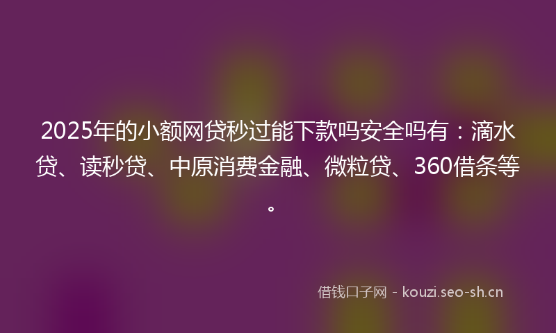 2025年的小额网贷秒过能下款吗安全吗有：滴水贷、读秒贷、中原消费金融、微粒贷、360借条等。