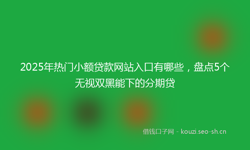 2025年热门小额贷款网站入口有哪些，盘点5个无视双黑能下的分期贷