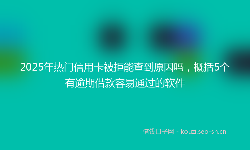 2025年热门信用卡被拒能查到原因吗，概括5个有逾期借款容易通过的软件