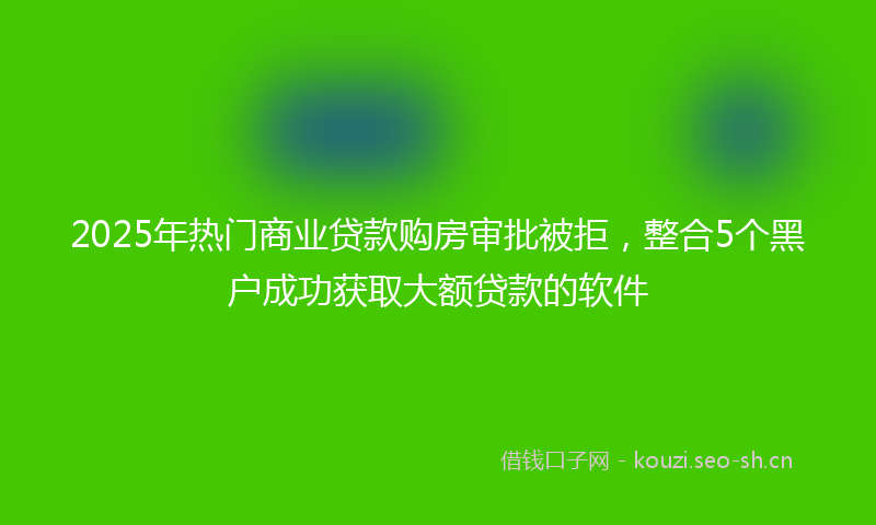 2025年热门商业贷款购房审批被拒，整合5个黑户成功获取大额贷款的软件