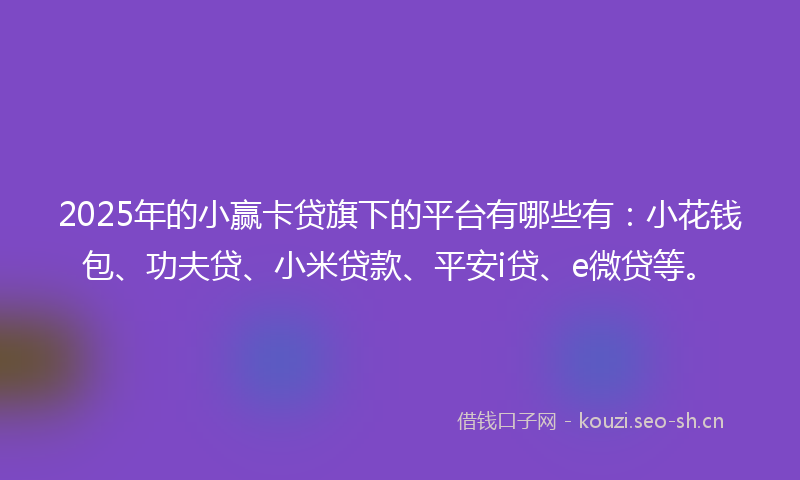 2025年的小赢卡贷旗下的平台有哪些有：小花钱包、功夫贷、小米贷款、平安i贷、e微贷等。
