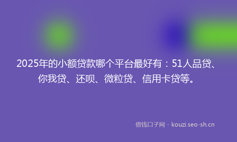 2025年的小额贷款哪个平台最好有：51人品贷、你我贷、还呗、微粒贷、信用卡贷等。