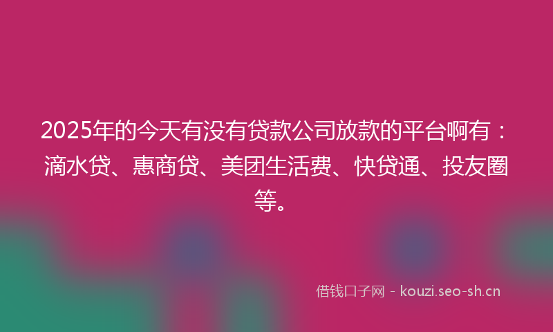 2025年的今天有没有贷款公司放款的平台啊有：滴水贷、惠商贷、美团生活费、快贷通、投友圈等。