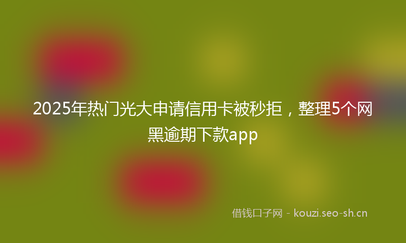 2025年热门光大申请信用卡被秒拒，整理5个网黑逾期下款app