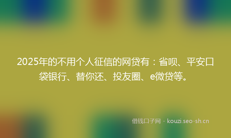 2025年的不用个人征信的网贷有：省呗、平安口袋银行、替你还、投友圈、e微贷等。