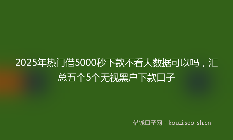 2025年热门借5000秒下款不看大数据可以吗，汇总五个5个无视黑户下款口子