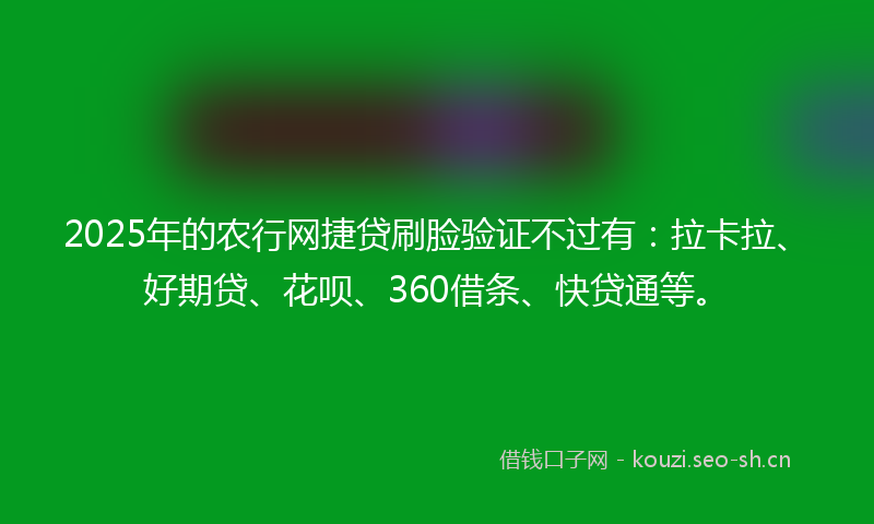 2025年的农行网捷贷刷脸验证不过有：拉卡拉、好期贷、花呗、360借条、快贷通等。