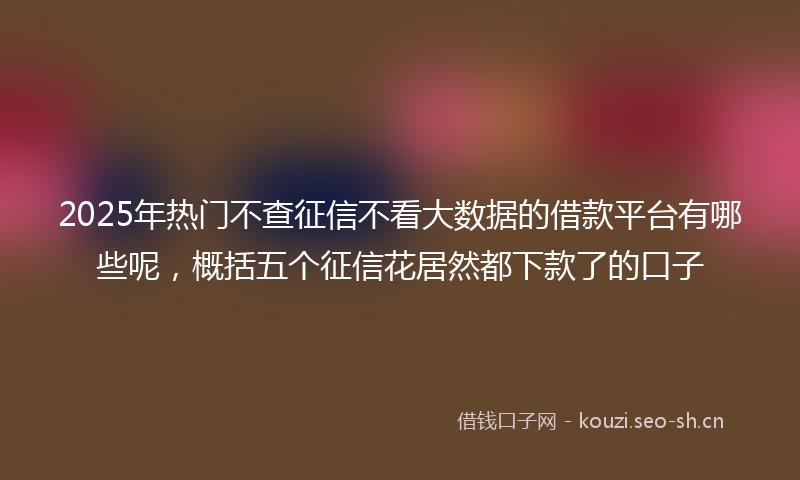 2025年热门不查征信不看大数据的借款平台有哪些呢，概括五个征信花居然都下款了的口子