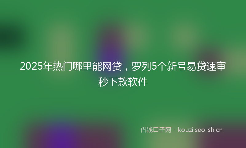 2025年热门哪里能网贷，罗列5个新号易贷速审秒下款软件