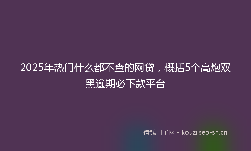 2025年热门什么都不查的网贷，概括5个高炮双黑逾期必下款平台
