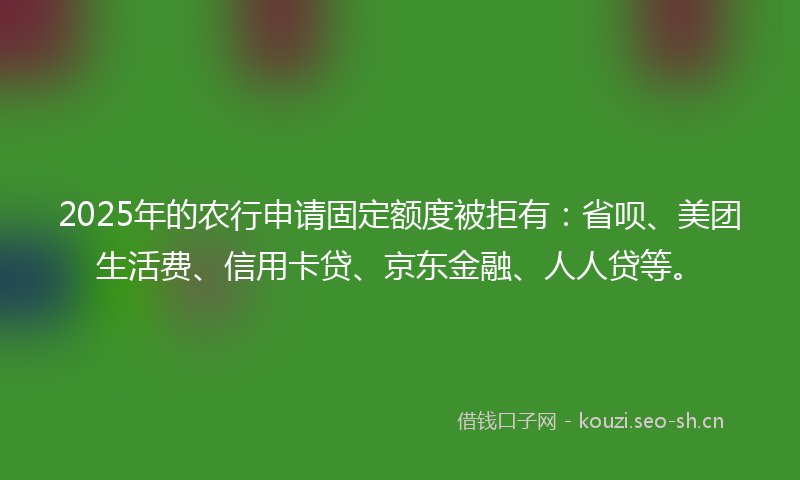 2025年的农行申请固定额度被拒有：省呗、美团生活费、信用卡贷、京东金融、人人贷等。