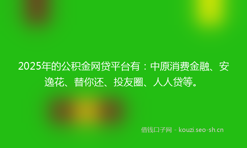 2025年的公积金网贷平台有：中原消费金融、安逸花、替你还、投友圈、人人贷等。