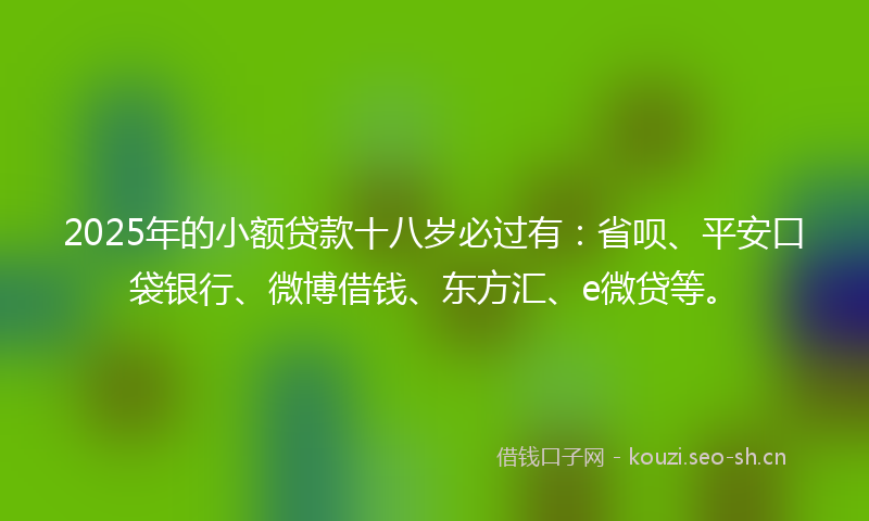 2025年的小额贷款十八岁必过有：省呗、平安口袋银行、微博借钱、东方汇、e微贷等。