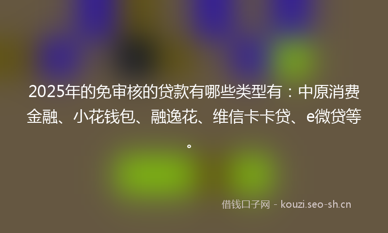 2025年的免审核的贷款有哪些类型有：中原消费金融、小花钱包、融逸花、维信卡卡贷、e微贷等。