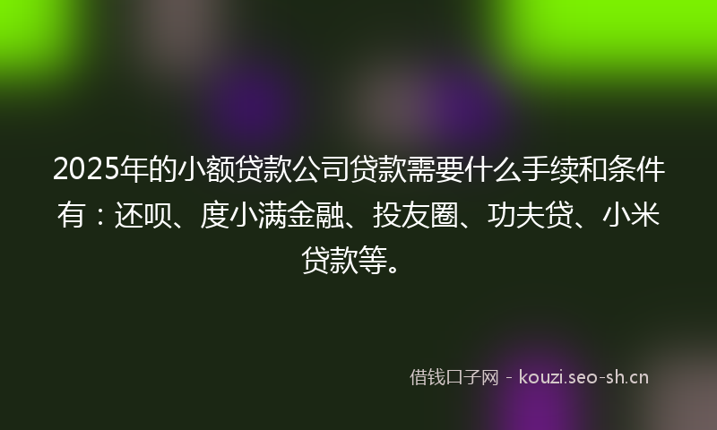 2025年的小额贷款公司贷款需要什么手续和条件有：还呗、度小满金融、投友圈、功夫贷、小米贷款等。
