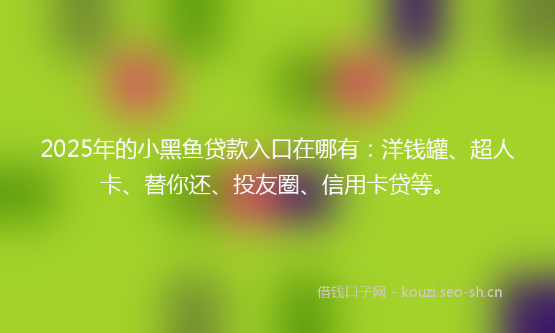 2025年的小黑鱼贷款入口在哪有：洋钱罐、超人卡、替你还、投友圈、信用卡贷等。