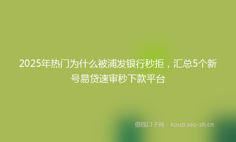 2025年热门为什么被浦发银行秒拒，汇总5个新号易贷速审秒下款平台