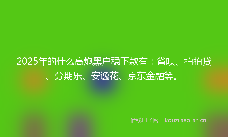 2025年的什么高炮黑户稳下款有：省呗、拍拍贷、分期乐、安逸花、京东金融等。