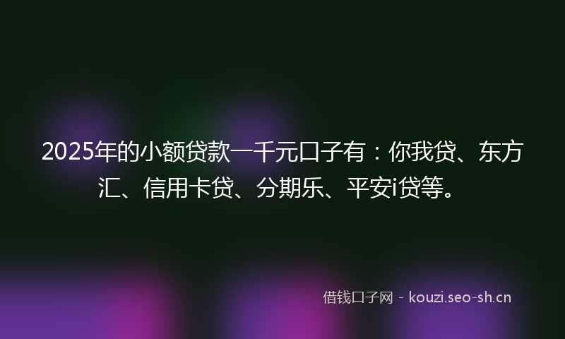 2025年的小额贷款一千元口子有:你我贷、东方汇、信用卡贷、分期乐、平安i贷等。