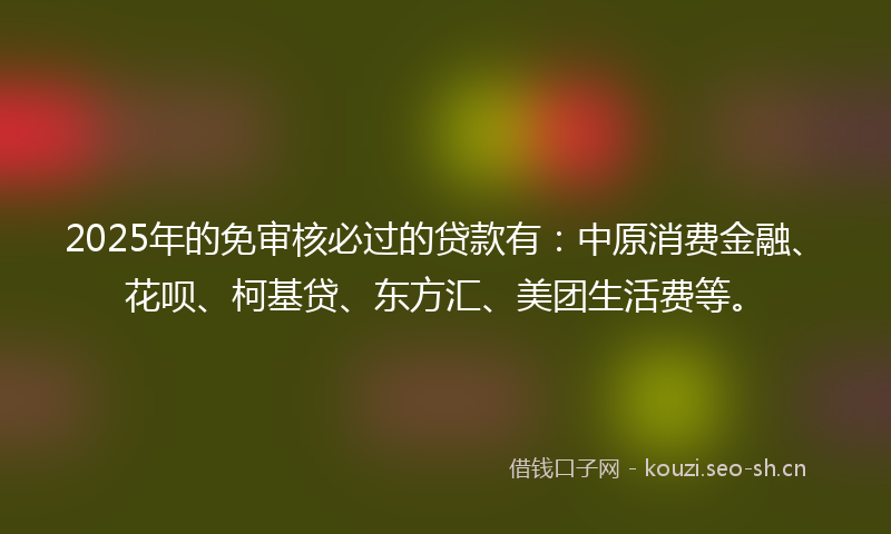 2025年的免审核必过的贷款有：中原消费金融、花呗、柯基贷、东方汇、美团生活费等。