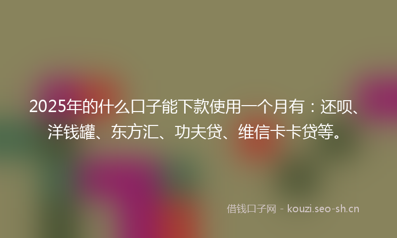 2025年的什么口子能下款使用一个月有：还呗、洋钱罐、东方汇、功夫贷、维信卡卡贷等。