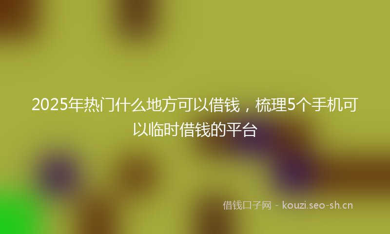 2025年热门什么地方可以借钱，梳理5个手机可以临时借钱的平台