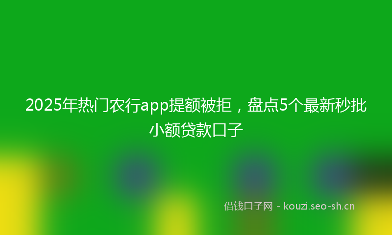 2025年热门农行app提额被拒，盘点5个最新秒批小额贷款口子