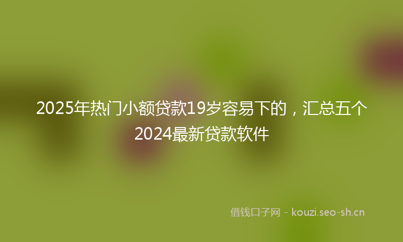 2025年热门小额贷款19岁容易下的，汇总五个2024最新贷款软件