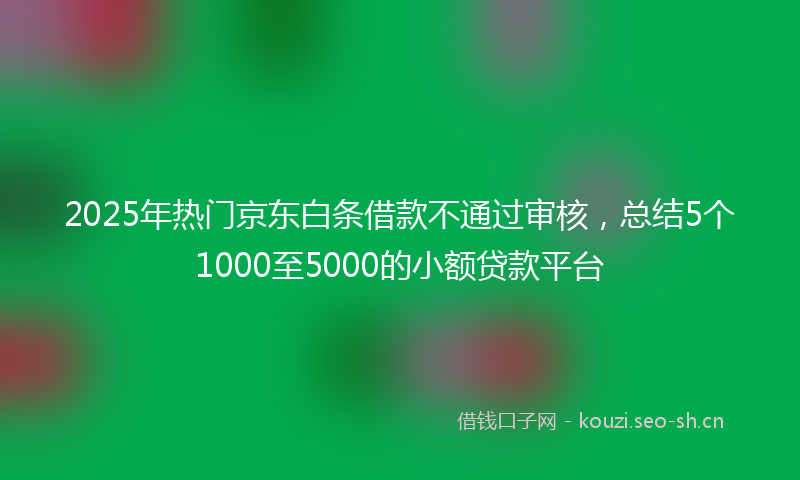2025年热门京东白条借款不通过审核，总结5个1000至5000的小额贷款平台
