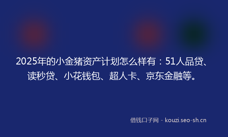 2025年的小金猪资产计划怎么样有：51人品贷、读秒贷、小花钱包、超人卡、京东金融等。