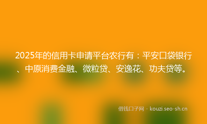 2025年的信用卡申请平台农行有:平安口袋银行、中原消费金融、微粒贷、安逸花、功夫贷等。