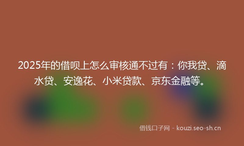 2025年的借呗上怎么审核通不过有：你我贷、滴水贷、安逸花、小米贷款、京东金融等。