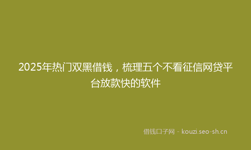 2025年热门双黑借钱，梳理五个不看征信网贷平台放款快的软件