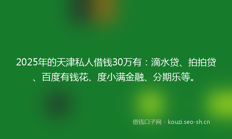 2025年的天津私人借钱30万有：滴水贷、拍拍贷、百度有钱花、度小满金融、分期乐等。