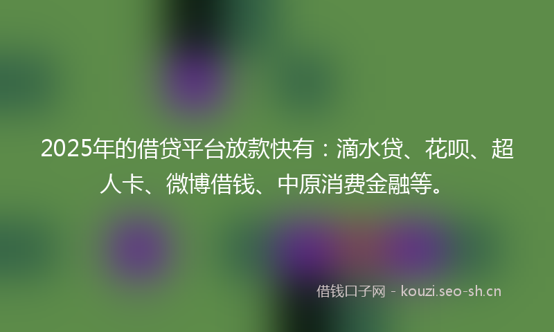 2025年的借贷平台放款快有：滴水贷、花呗、超人卡、微博借钱、中原消费金融等。