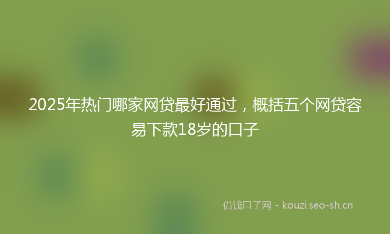 2025年热门哪家网贷最好通过，概括五个网贷容易下款18岁的口子