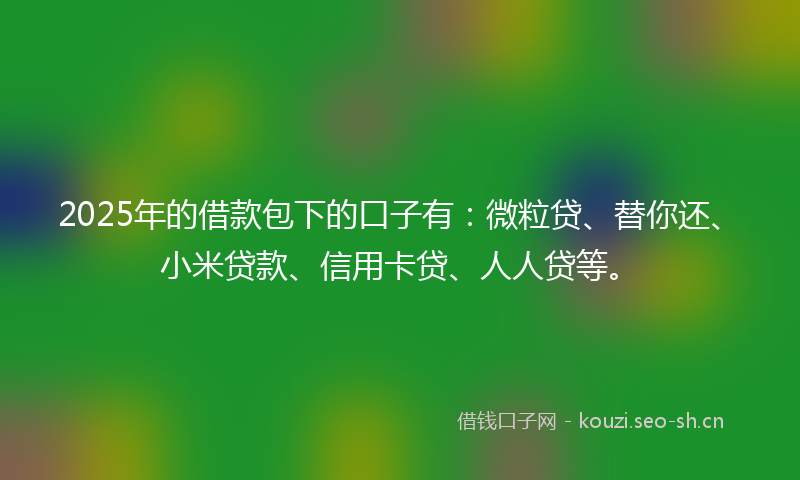 2025年的借款包下的口子有：微粒贷、替你还、小米贷款、信用卡贷、人人贷等。