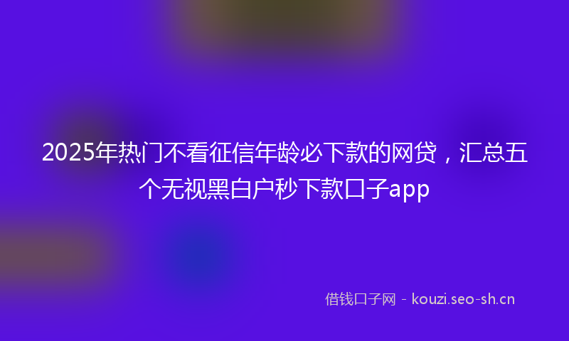 2025年热门不看征信年龄必下款的网贷，汇总五个无视黑白户秒下款口子app