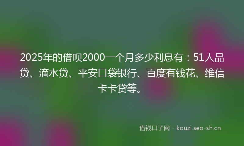 2025年的借呗2000一个月多少利息有：51人品贷、滴水贷、平安口袋银行、百度有钱花、维信卡卡贷等。