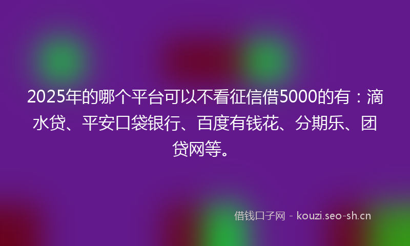 2025年的哪个平台可以不看征信借5000的有：滴水贷、平安口袋银行、百度有钱花、分期乐、团贷网等。