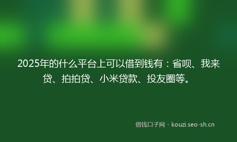 2025年的什么平台上可以借到钱有：省呗、我来贷、拍拍贷、小米贷款、投友圈等。