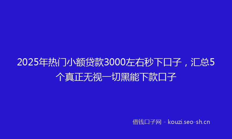 2025年热门小额贷款3000左右秒下口子，汇总5个真正无视一切黑能下款口子