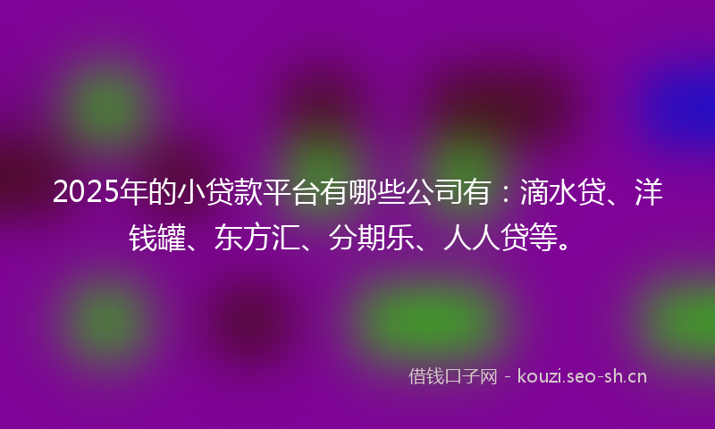 2025年的小贷款平台有哪些公司有：滴水贷、洋钱罐、东方汇、分期乐、人人贷等。