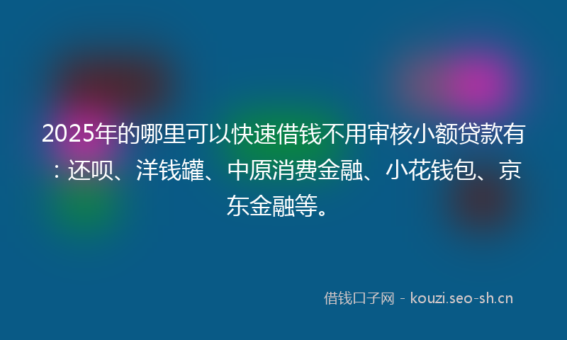 2025年的哪里可以快速借钱不用审核小额贷款有：还呗、洋钱罐、中原消费金融、小花钱包、京东金融等。