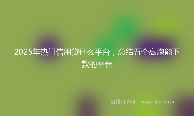 2025年热门信用贷什么平台，总结五个高炮能下款的平台